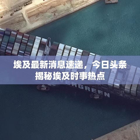 埃及最新消息速递，今日头条揭秘埃及时事热点