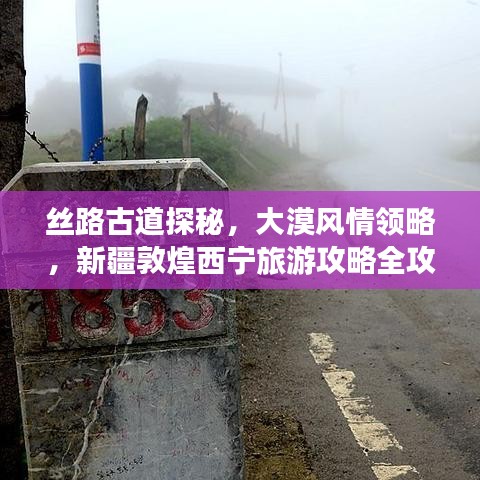 丝路古道探秘，大漠风情领略，新疆敦煌西宁旅游攻略全攻略