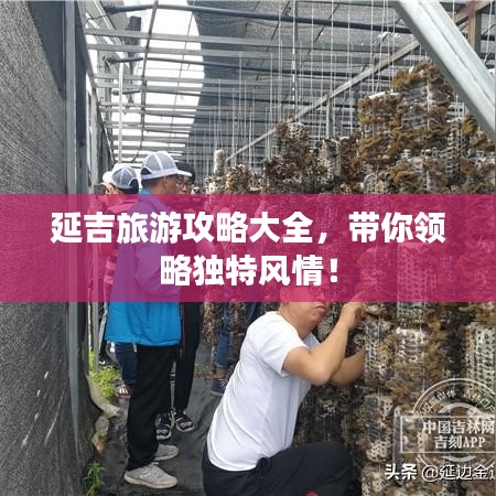 飞潜动植 第7页