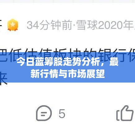 今日蓝筹股走势分析，最新行情与市场展望