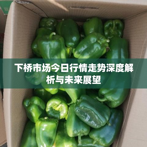 下桥市场今日行情走势深度解析与未来展望