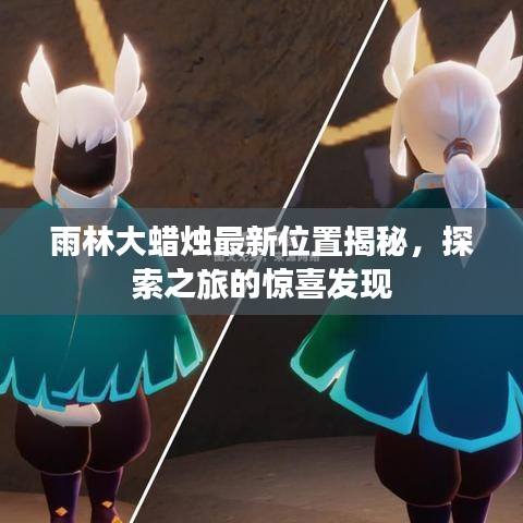 雨林大蜡烛最新位置揭秘，探索之旅的惊喜发现