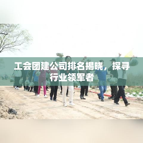 工会团建公司排名揭晓，探寻行业领军者