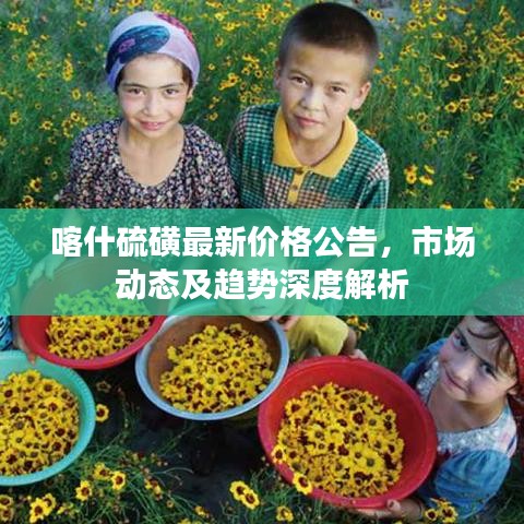 喀什硫磺最新价格公告，市场动态及趋势深度解析