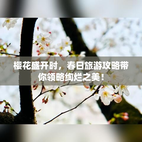 樱花盛开时，春日旅游攻略带你领略绚烂之美！