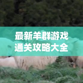 最新羊群游戏通关攻略大全，轻松成为领头羊！