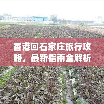 香港回石家庄旅行攻略，最新指南全解析