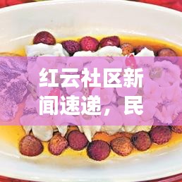 红云社区新闻速递，民生动态与关怀，活力四溢的社区生活