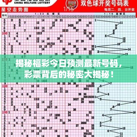 揭秘福彩今日预测最新号码，彩票背后的秘密大揭秘！