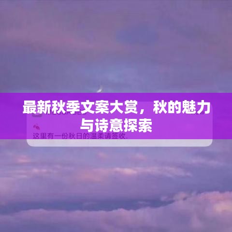 最新秋季文案大赏，秋的魅力与诗意探索