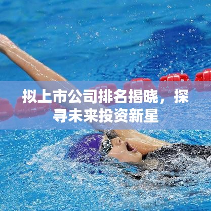 拟上市公司排名揭晓，探寻未来投资新星