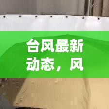 台风最新动态，风暴之眼下的实时播报与关注