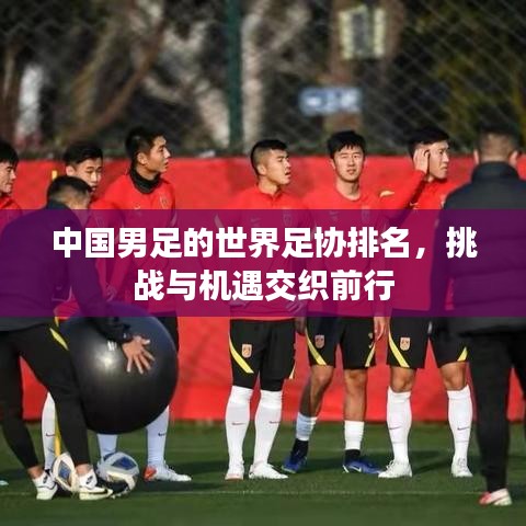 中国男足的世界足协排名，挑战与机遇交织前行