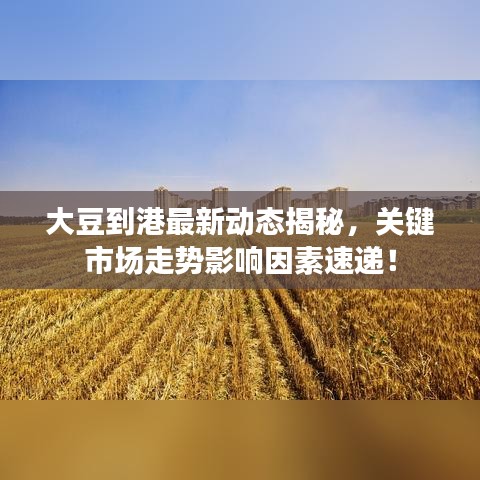 大豆到港最新动态揭秘，关键市场走势影响因素速递！