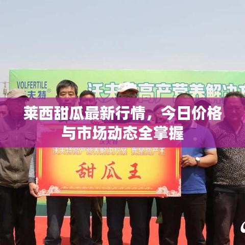 莱西甜瓜最新行情，今日价格与市场动态全掌握