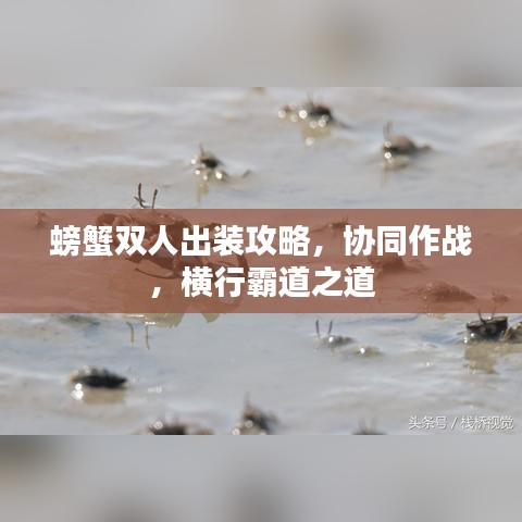 螃蟹双人出装攻略，协同作战，横行霸道之道