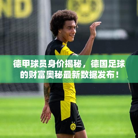 德甲球员身价揭秘，德国足球的财富奥秘最新数据发布！