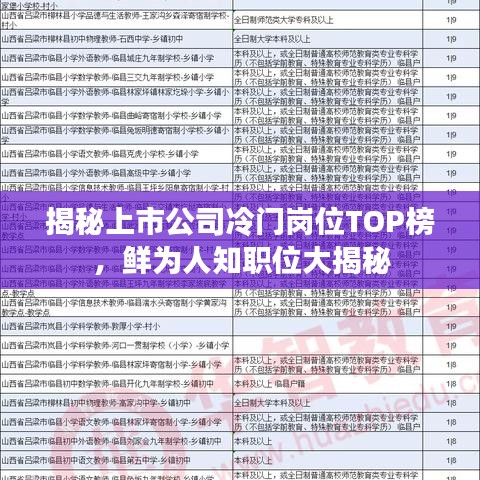 揭秘上市公司冷门岗位TOP榜,鲜为人知职位大揭秘