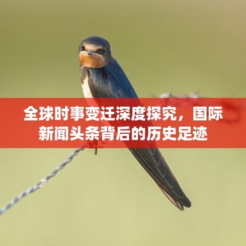 全球时事变迁深度探究，国际新闻头条背后的历史足迹