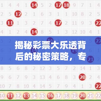 揭秘彩票大乐透背后的秘密策略，专家最新推荐，助你赢取大奖！