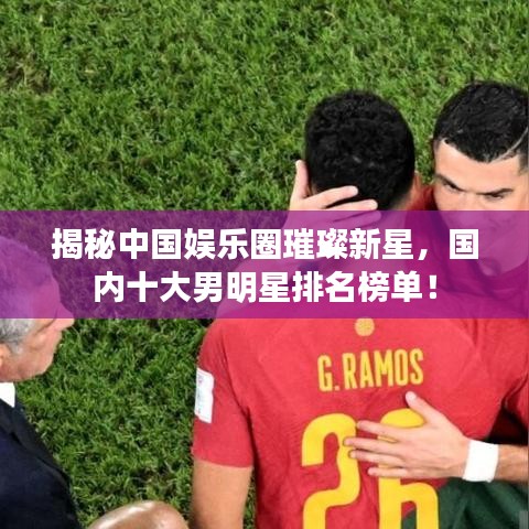揭秘中国娱乐圈璀璨新星，国内十大男明星排名榜单！