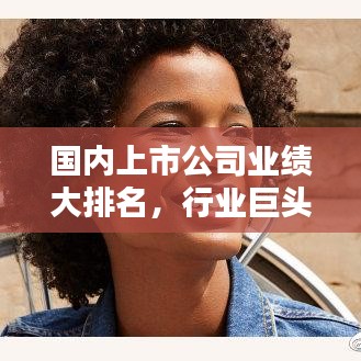 国内上市公司业绩大排名，行业巨头与领军企业揭晓