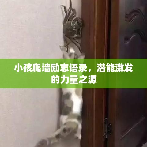 小孩爬墙励志语录，潜能激发的力量之源
