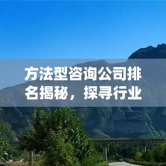 方法型咨询公司排名揭秘，探寻行业领袖成功的秘诀！