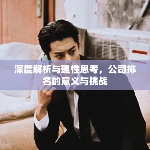 深度解析与理性思考,公司排名的意义与挑战