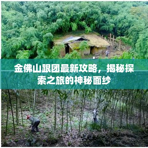 金佛山跟团最新攻略，揭秘探索之旅的神秘面纱