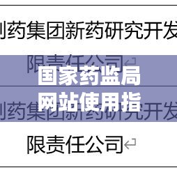 国家药监局网站使用指南，一站式查询药品信息权威平台，轻松掌握用药知识！