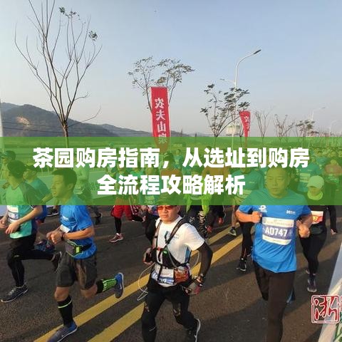 茶园购房指南，从选址到购房全流程攻略解析