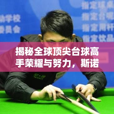 揭秘全球顶尖台球高手荣耀与努力，斯诺克世界排名全解析