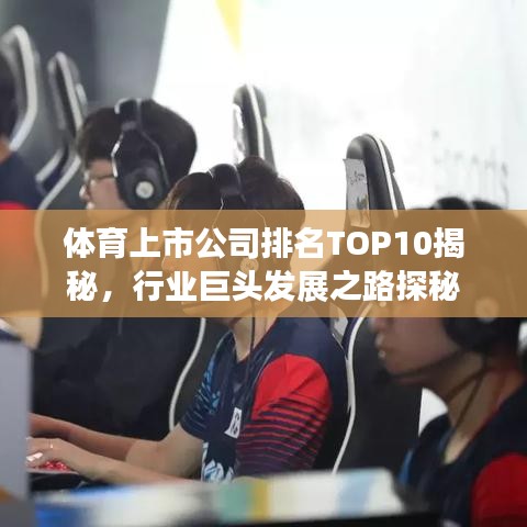 体育上市公司排名TOP10揭秘，行业巨头发展之路探秘