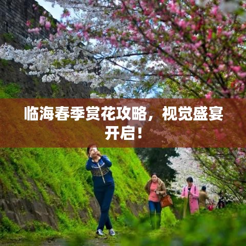 临海春季赏花攻略，视觉盛宴开启！