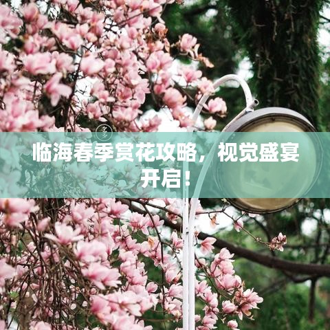 临海春季赏花攻略,视觉盛宴开启!