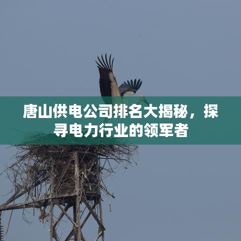 唐山供电公司排名大揭秘，探寻电力行业的领军者