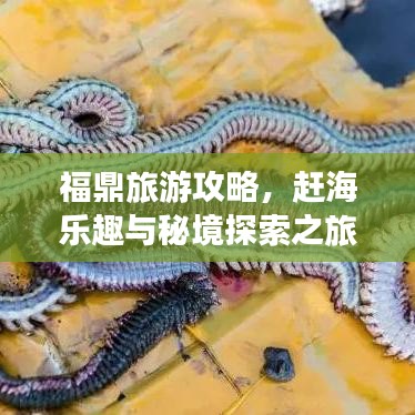 福鼎旅游攻略,赶海乐趣与秘境探索之旅!