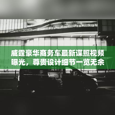 威霆豪华商务车最新谍照视频曝光，尊贵设计细节一览无余