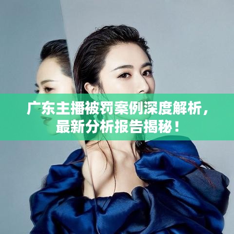 广东主播被罚案例深度解析，最新分析报告揭秘！