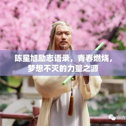 陈星旭励志语录,青春燃烧,梦想不灭的力量之源