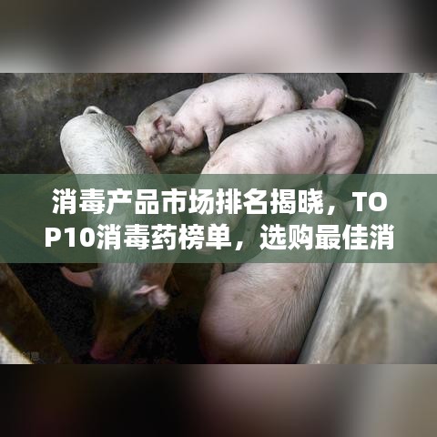 消毒产品市场排名揭晓，TOP10消毒药榜单，选购最佳消毒产品指南