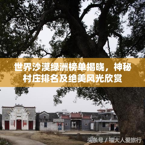 世界沙漠绿洲榜单揭晓，神秘村庄排名及绝美风光欣赏
