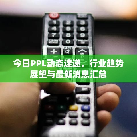今日PPL动态速递，行业趋势展望与最新消息汇总