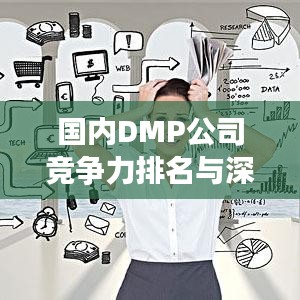 国内DMP公司竞争力排名与深度行业洞察
