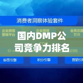 国内DMP公司竞争力排名与深度行业洞察