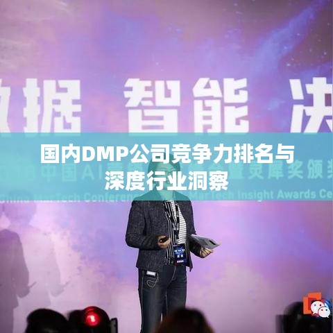 国内DMP公司竞争力排名与深度行业洞察