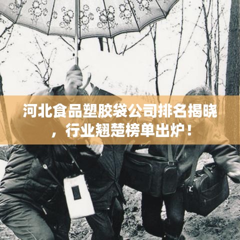 河北食品塑胶袋公司排名揭晓，行业翘楚榜单出炉！