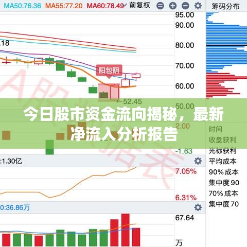 今日股市资金流向揭秘，最新净流入分析报告