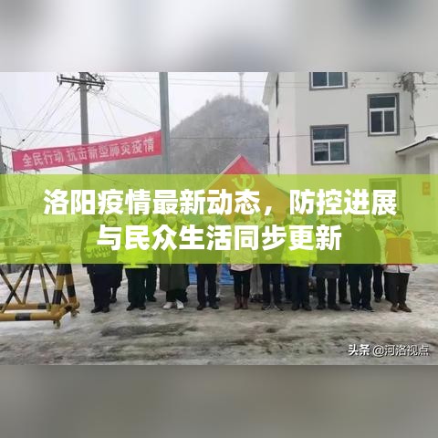 洛阳疫情最新动态，防控进展与民众生活同步更新